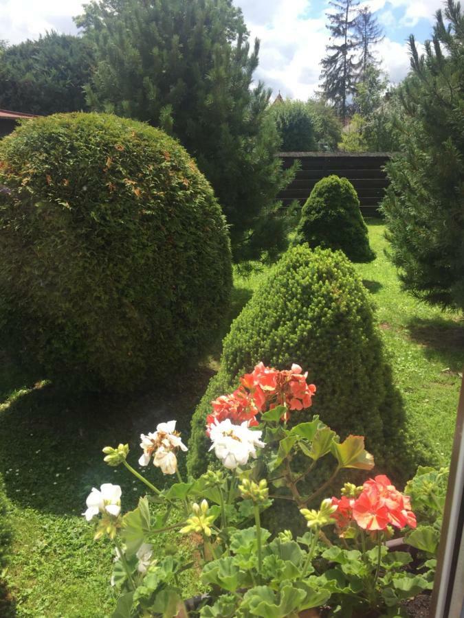 Country house Vidiecky Dom Alexsandra - V Sukromi *